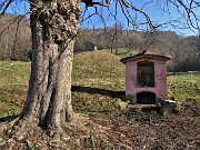 MONTE ZUCCO (1232 m) ad anello da S. Antonio Abb. (987 m) per la prima volta via Sonzogno (1108 m) - 31mar21 - FOTOGALLERY